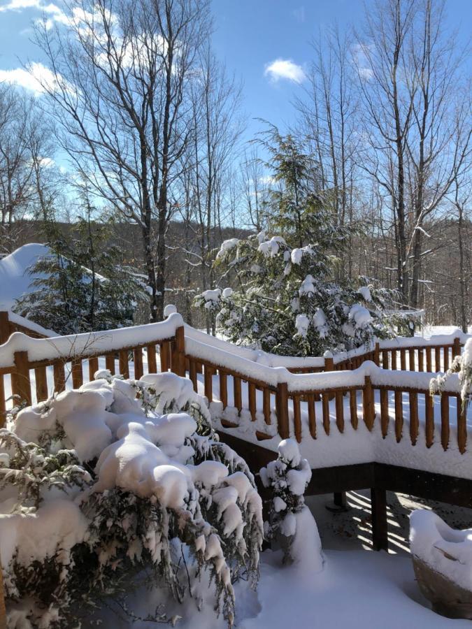 Black River Crossing Bed & Breakfast Bessemer Экстерьер фото